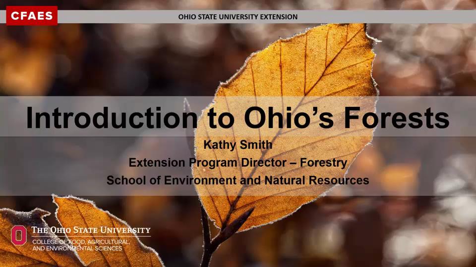 Introduction to Ohio's Forests