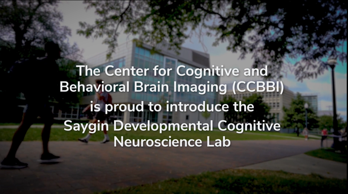 ラボ教育センター Z-Lab | Center for Cognitive and Behavioral Brain Imaging